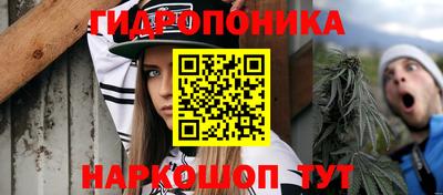ECSTASY Краснодар