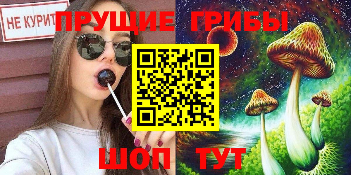 Донской  Галлюциногенные грибы Cubensis  Вход с VPN 